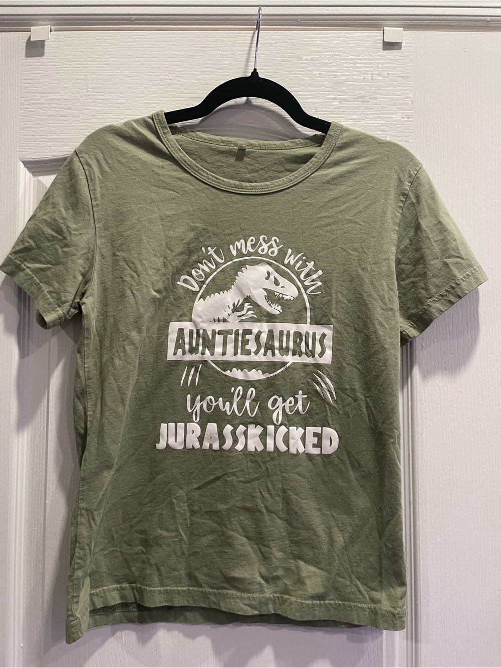 “Don’t Mess with Auntie-Saurus” Women’s Medium Tee Jurassic Park Parody tee - Picture 2 of 3